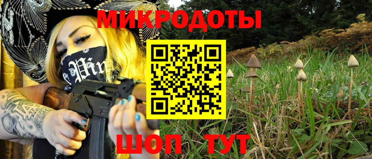 Галлюциногенные грибы мицелий Кемерово